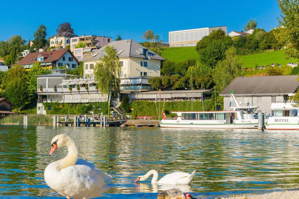 Seehotel Delphin Meisterschwanden Eksteriør billede